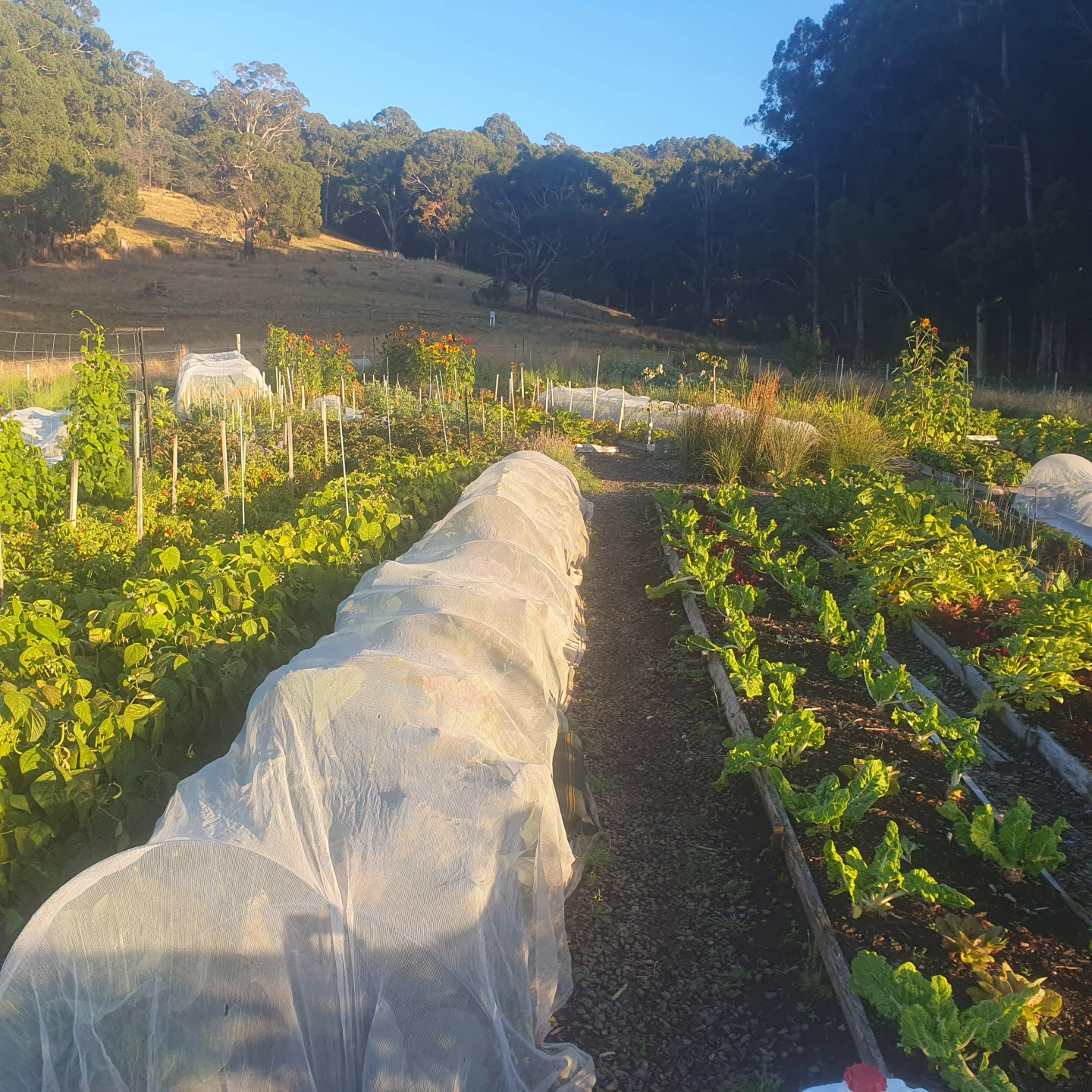 Old Orchard Farm